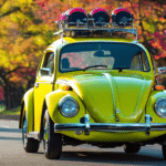 sdxl-9ddf1e04a68ce4922418af1c380d4084